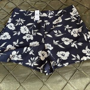 NWT Ann Taylor Shorts